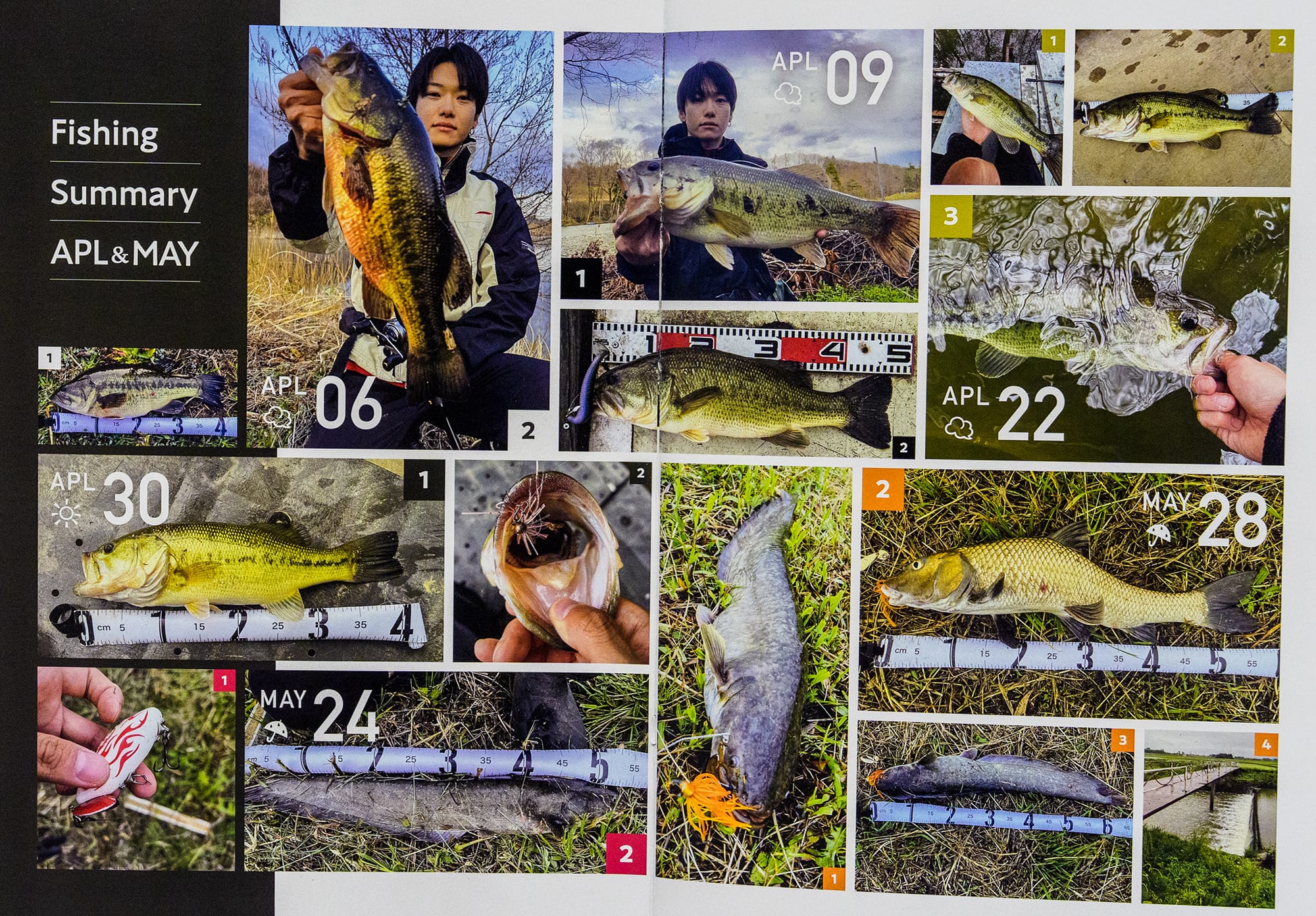 思い出に残る釣果を記録する為のデザイン提案