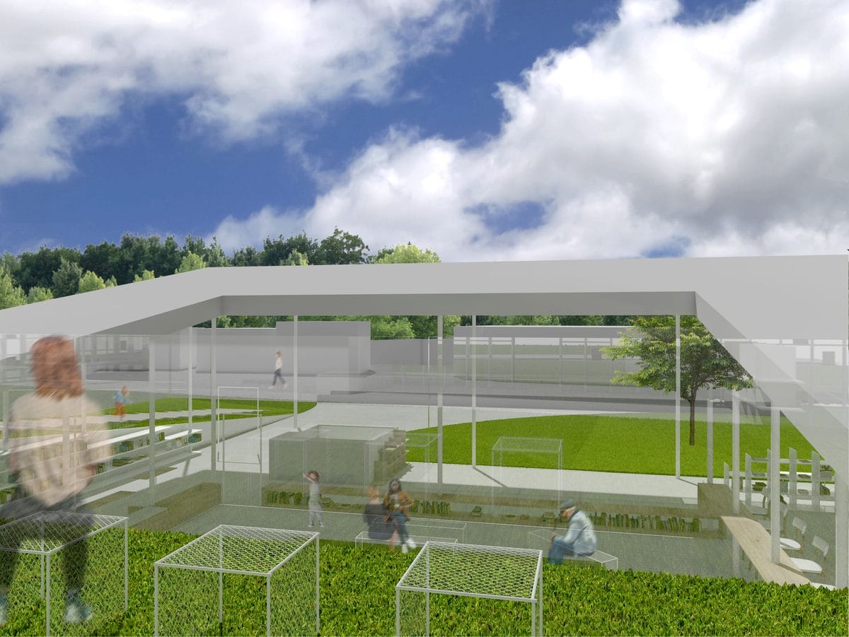 book shelves of the town