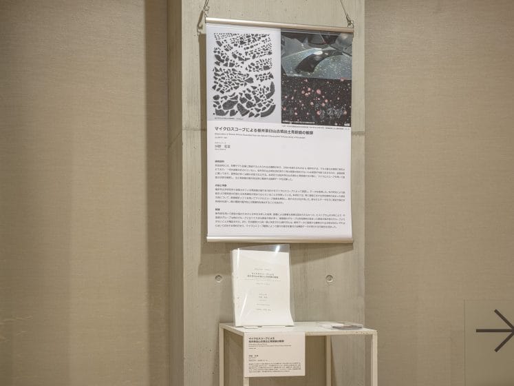 マイクロスコープによる桜井茶臼山古墳出土青銅鏡の観察