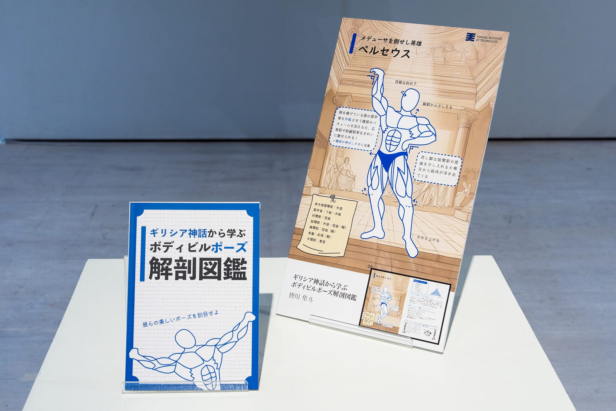 ギリシア神話から学ぶボディビルポーズ解剖図鑑