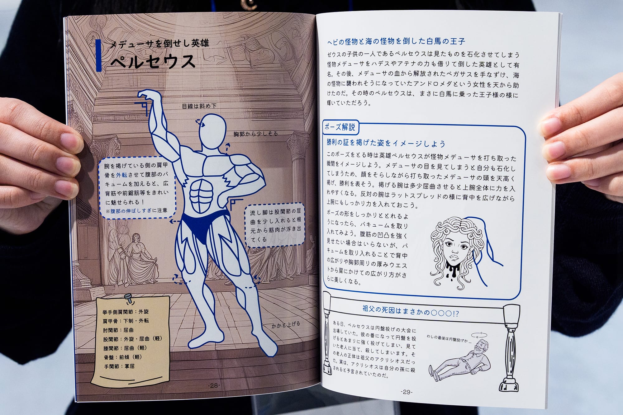 ギリシア神話から学ぶボディビルポーズ解剖図鑑