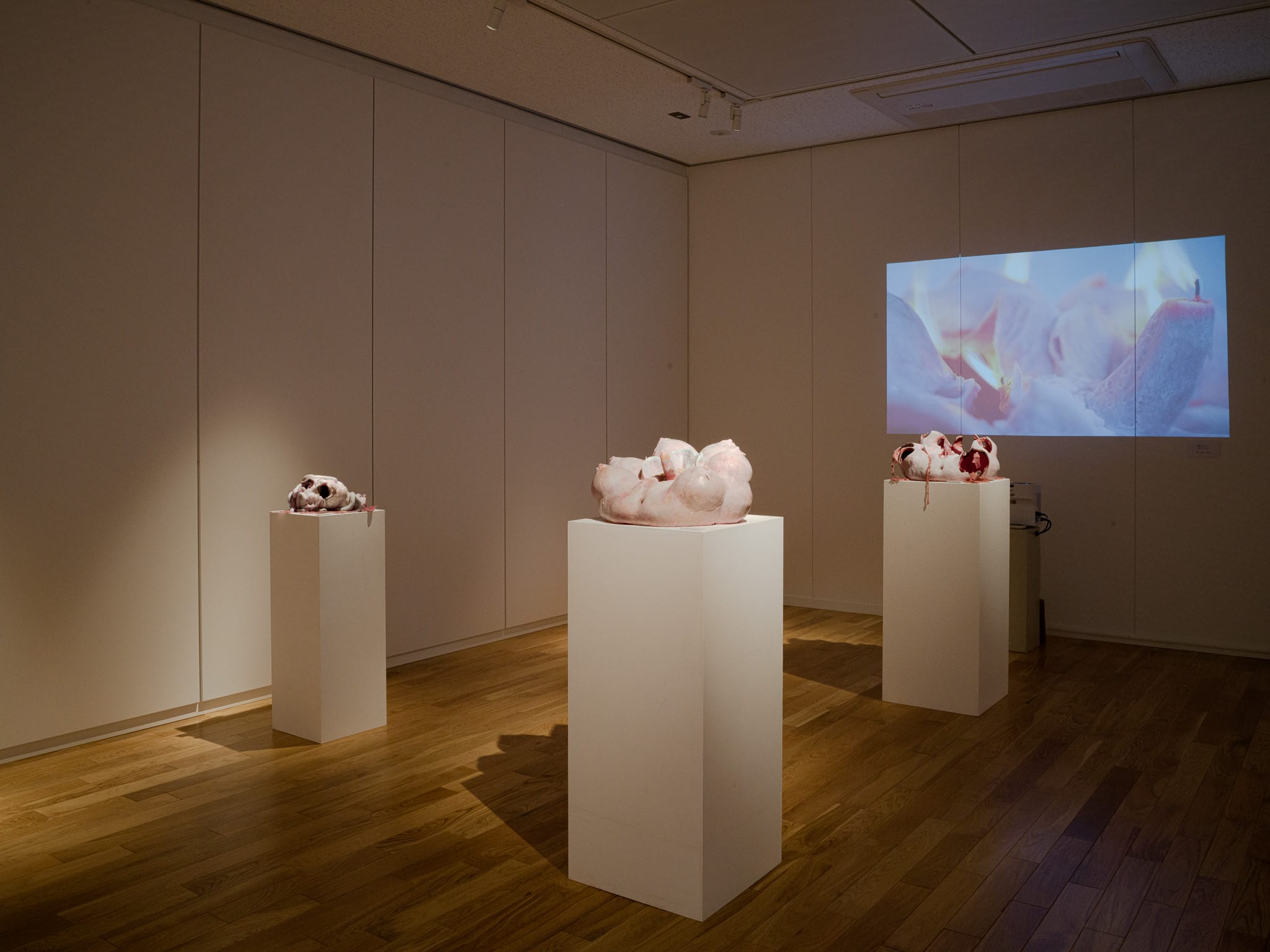 燃ゆるアミュレット ―権威性に対抗する、蝋を用いた彫刻制作―