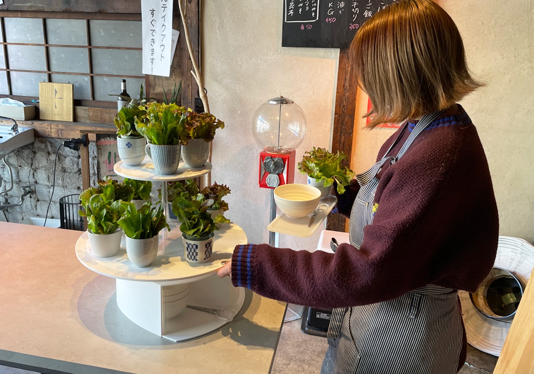 小規模飲食店での収穫体験を伴ったメニューの導入を可能にするシステムと什器の提案