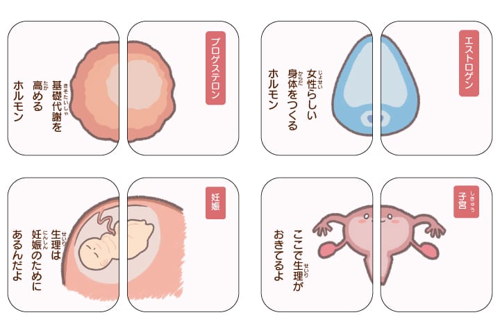 ジェンダー理解促進を支援する「生理」学習テーブルゲーム『知っておこう！女の子の身体　アンネのえあわせ』