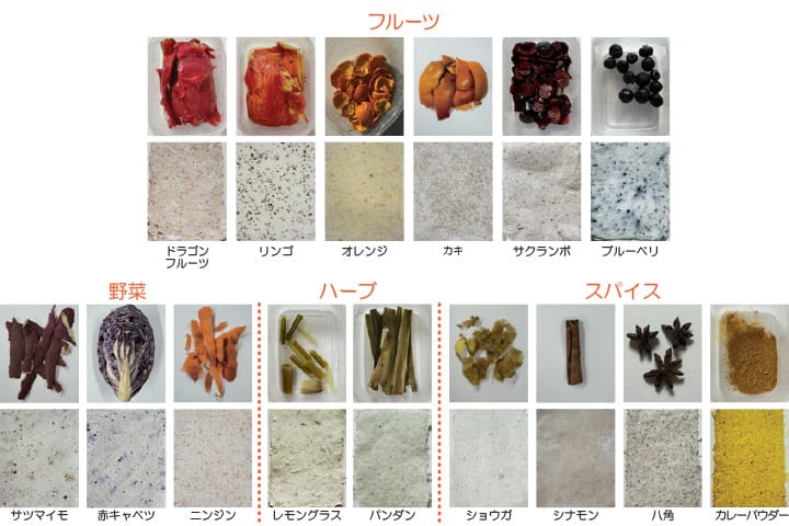 廃棄食材を用いたフードペーパーによるインテリアアイテムの制作