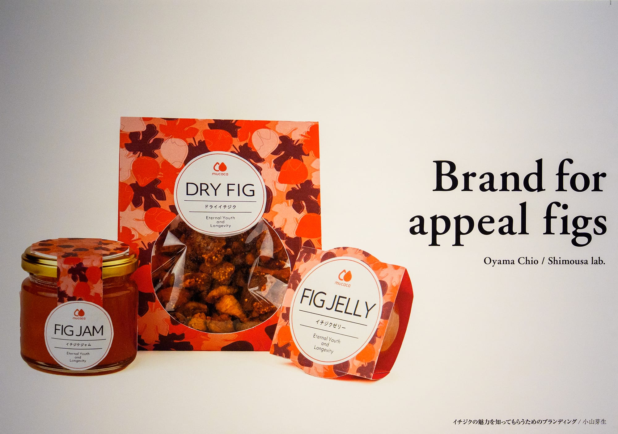 イチジクの魅力を知ってもらうためのブランディング