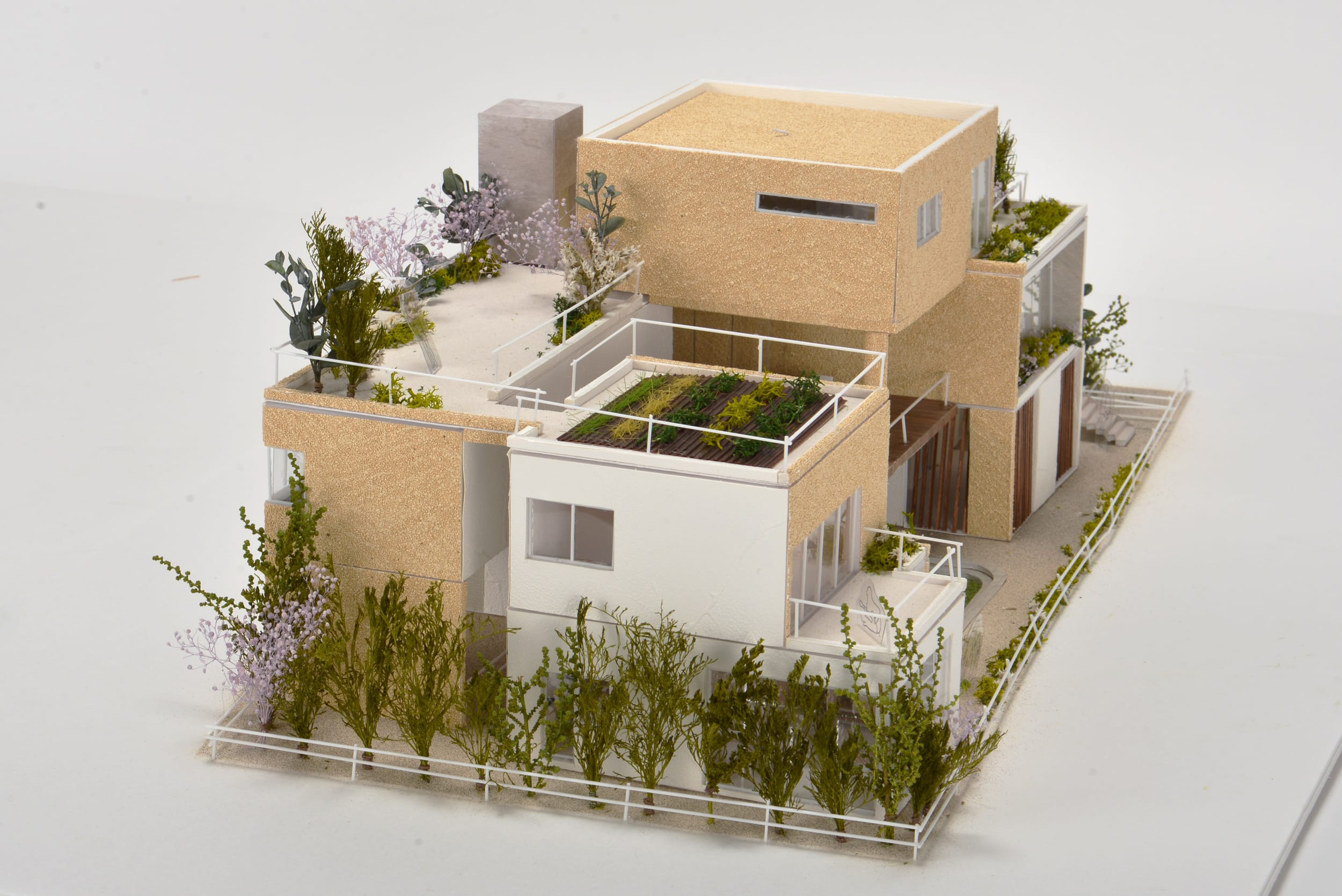 「育てる」家 – cooperative house –