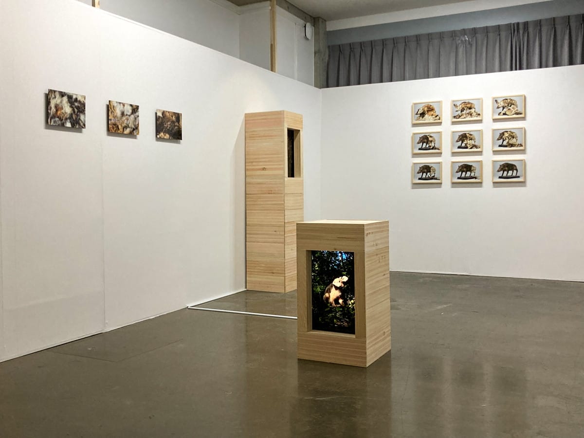 自然と不自然のキメラ