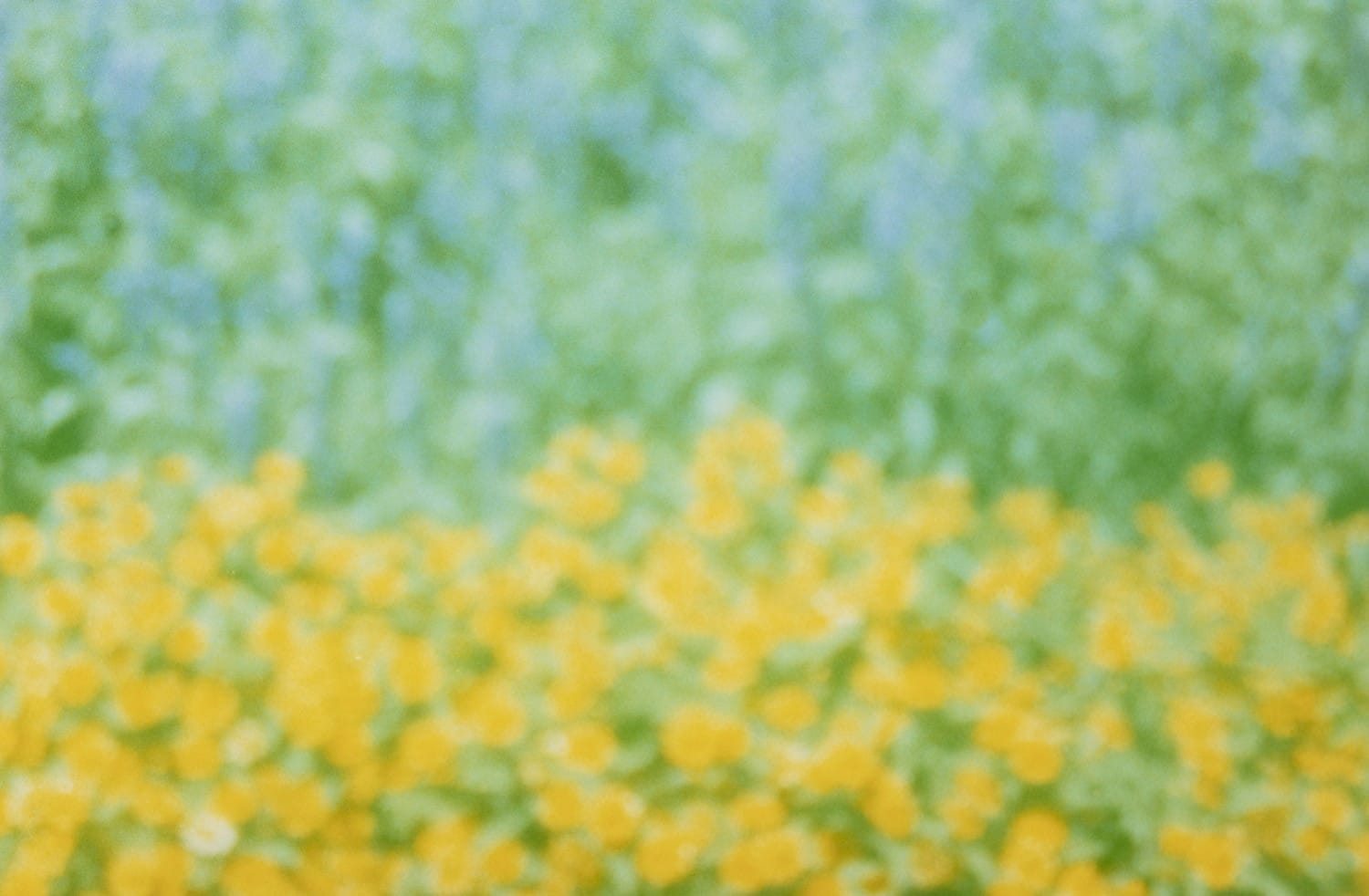 在るがない風景