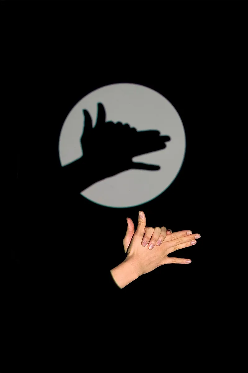 SHADOW PUPPETS