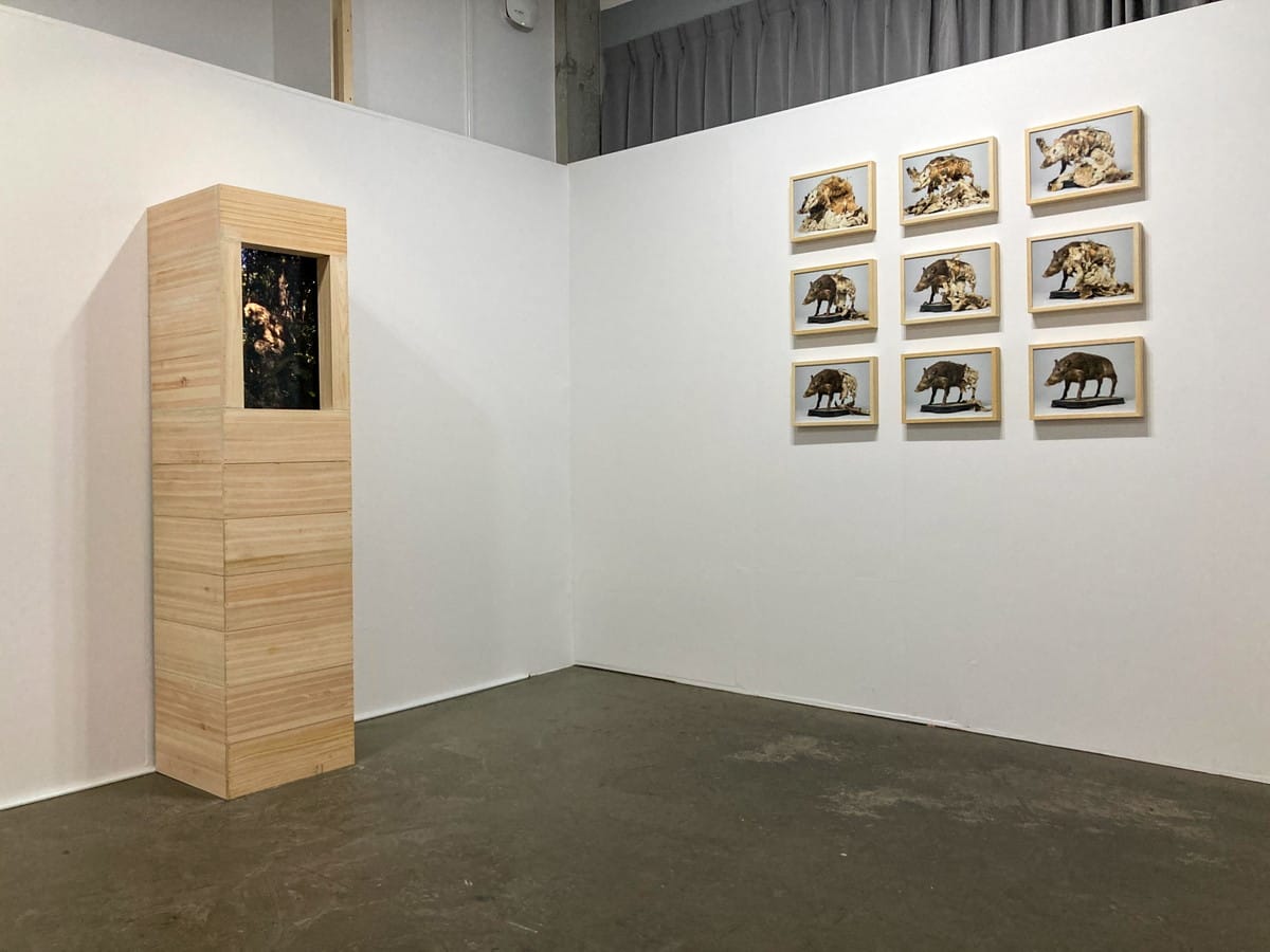 自然と不自然のキメラ