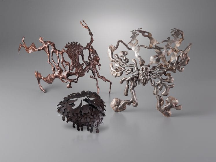 毒心－ジャコウアゲハをモチーフとしたフェイスジュエリーの制作－