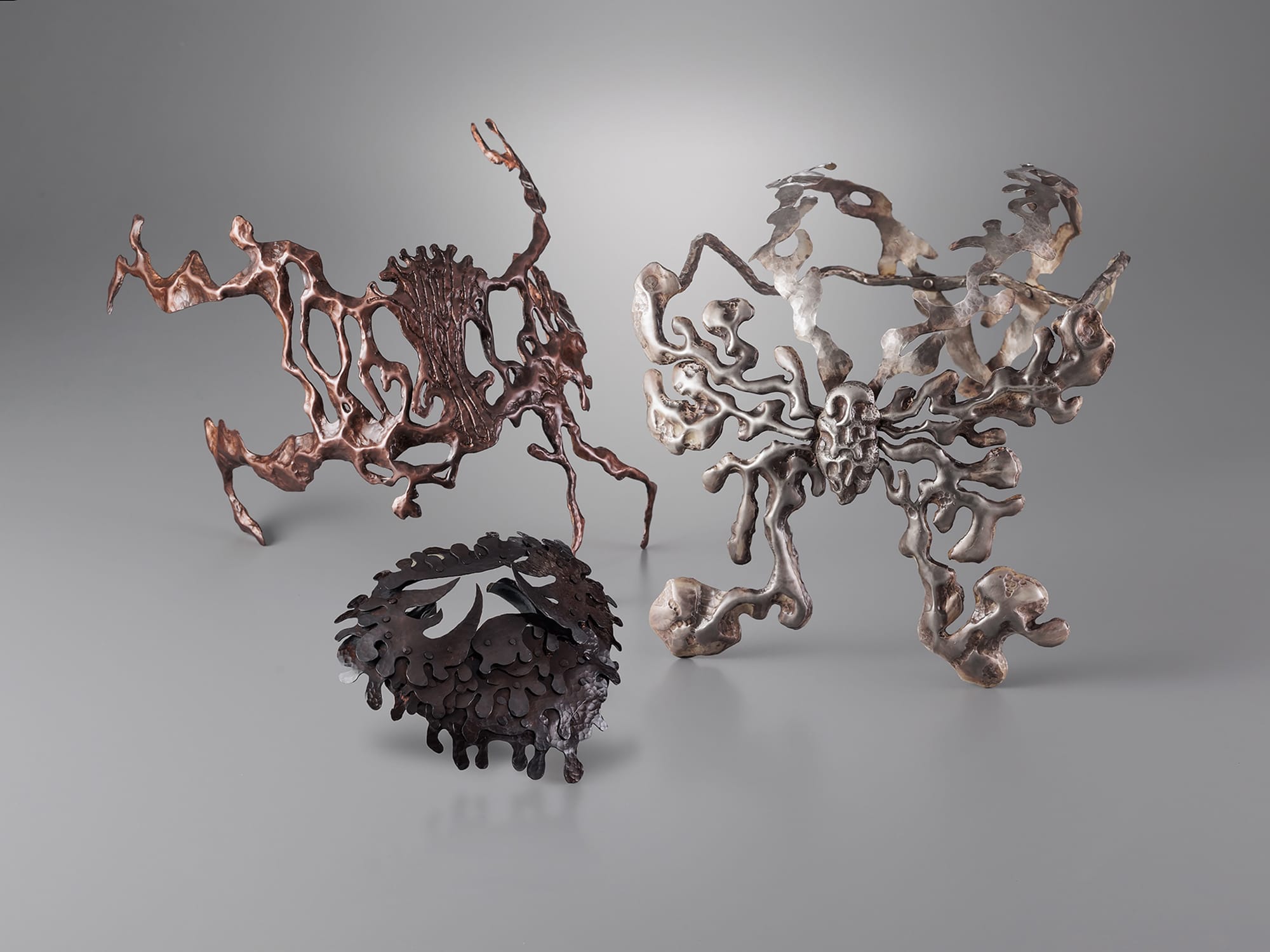 毒心－ジャコウアゲハをモチーフとしたフェイスジュエリーの制作－