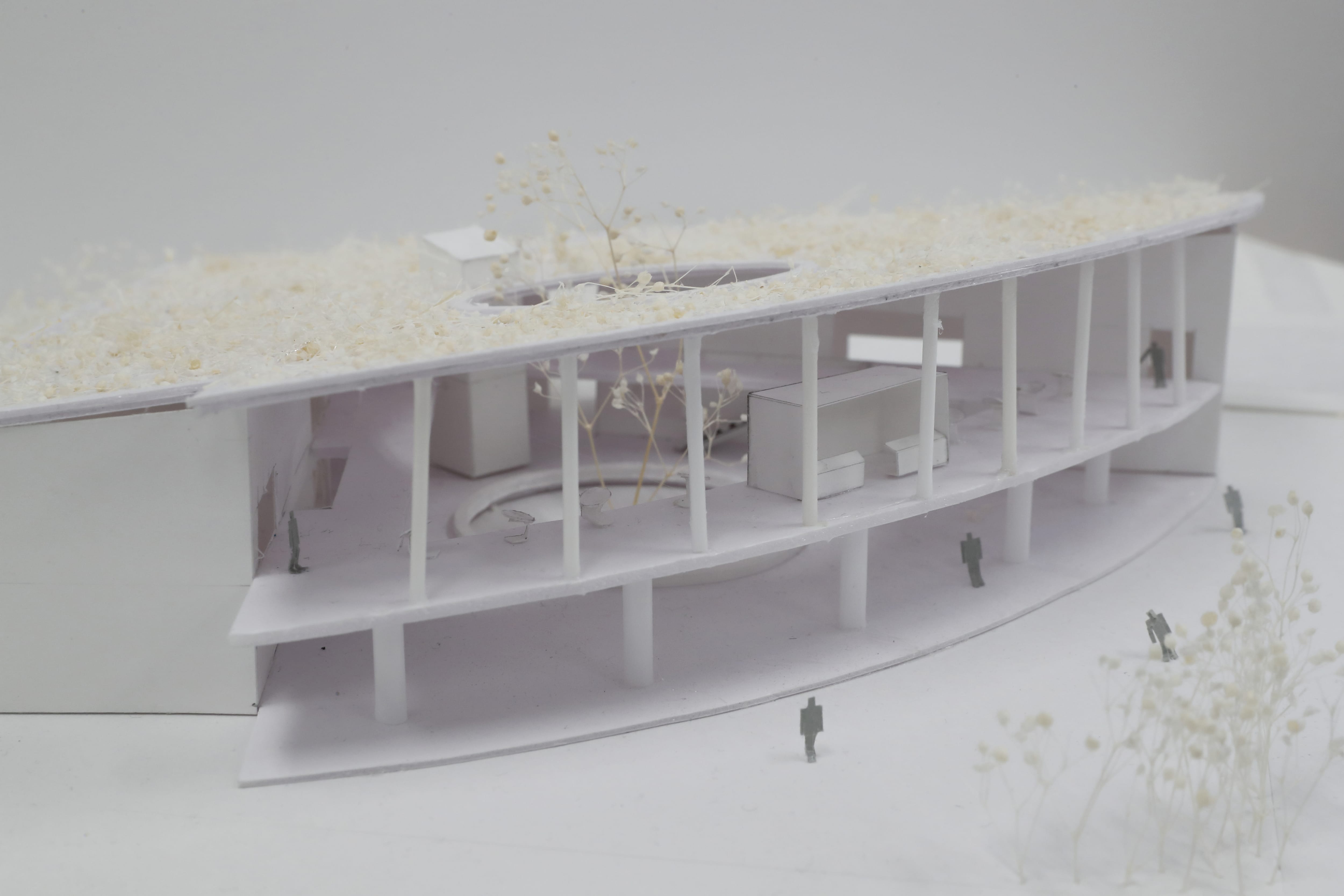 川と公園に面する地域図書館 Green island