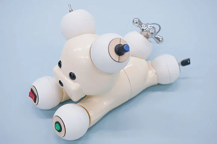 認知症予防玩具のデザイン提案