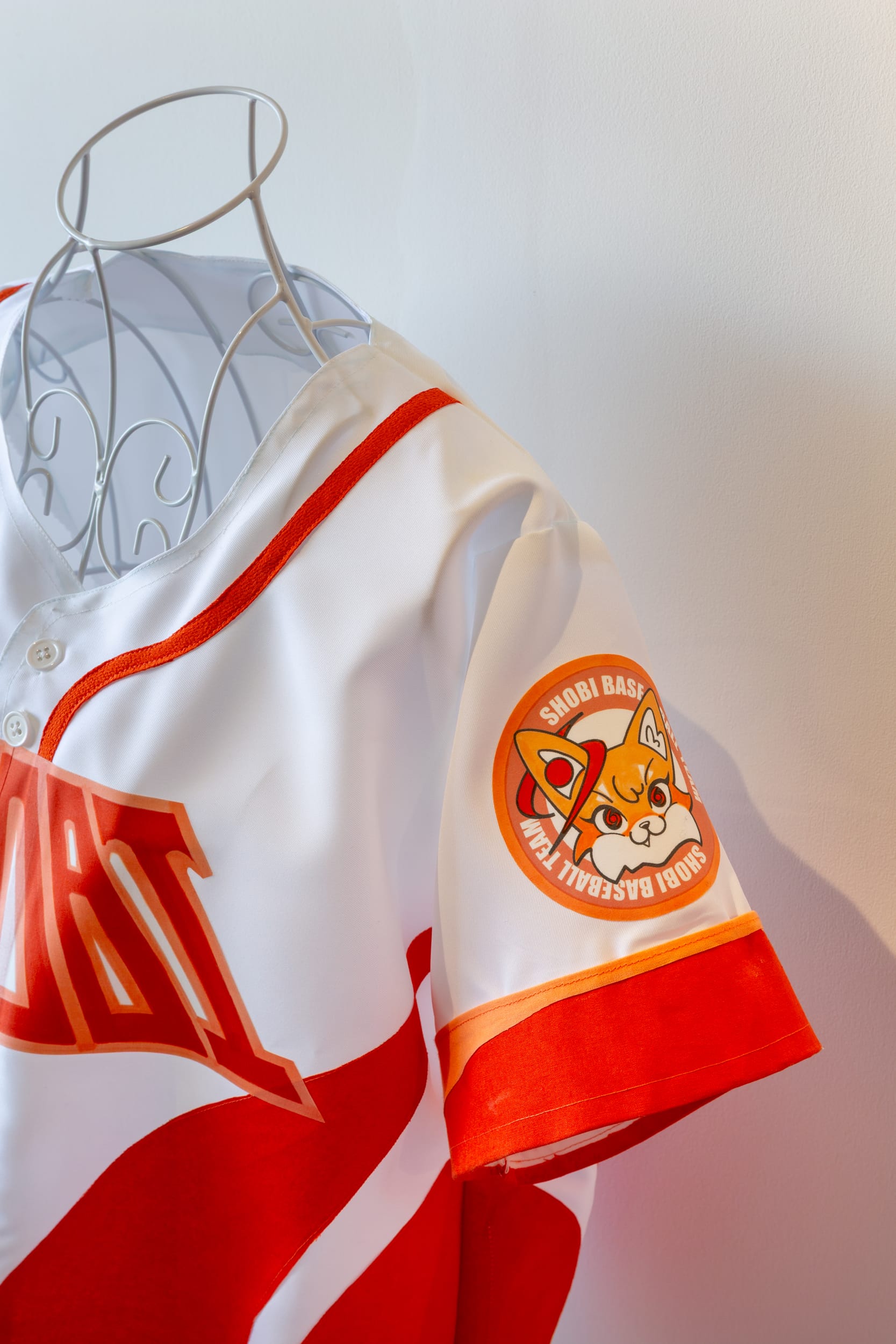 女子野球チームのブランディング