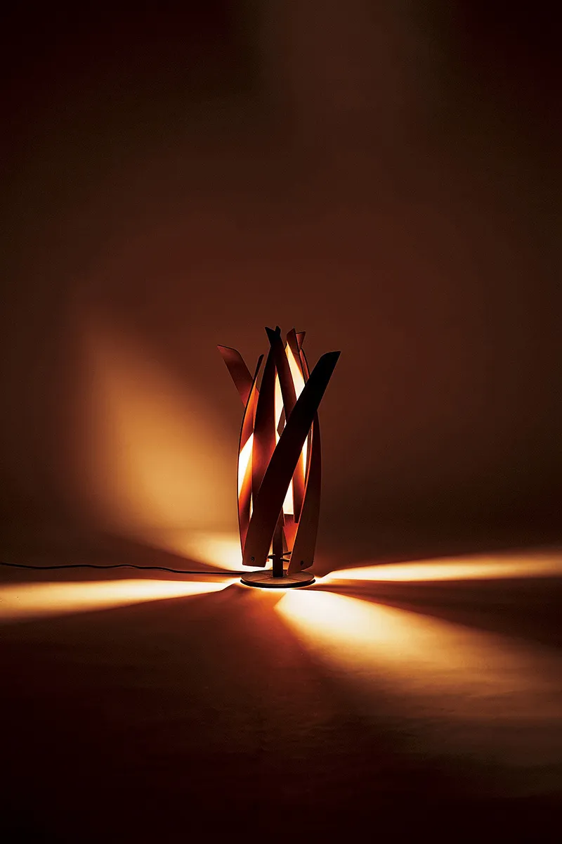 一人暮らしの社会人に向けた室内照明の提案​