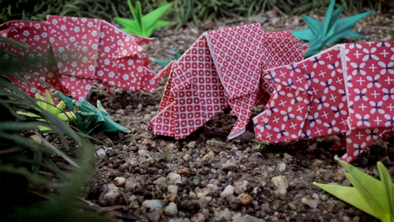 肉にまつわる日常の話