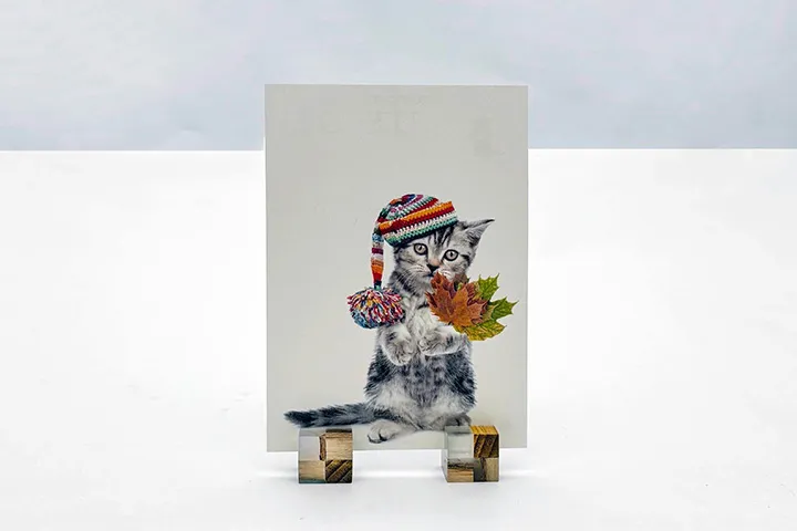 ウルシの木とエポキシレジンを用いたフォトフレームの制作