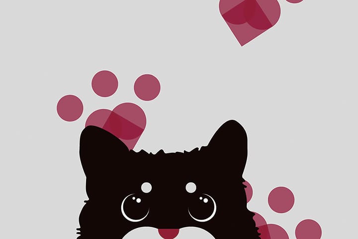 犬猫殺処分減少のためのWebツールの開発