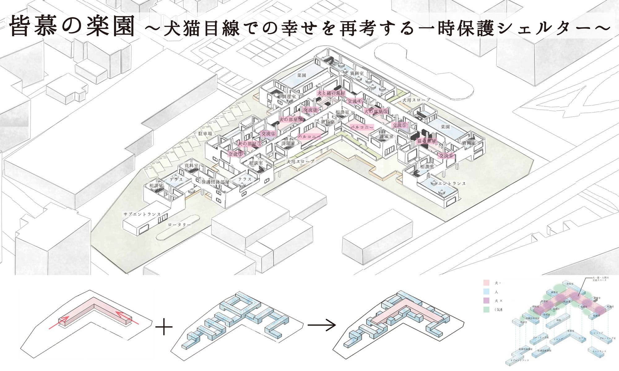 皆慕の楽園 -犬猫目線での幸せを再考する一時保護シェルター-