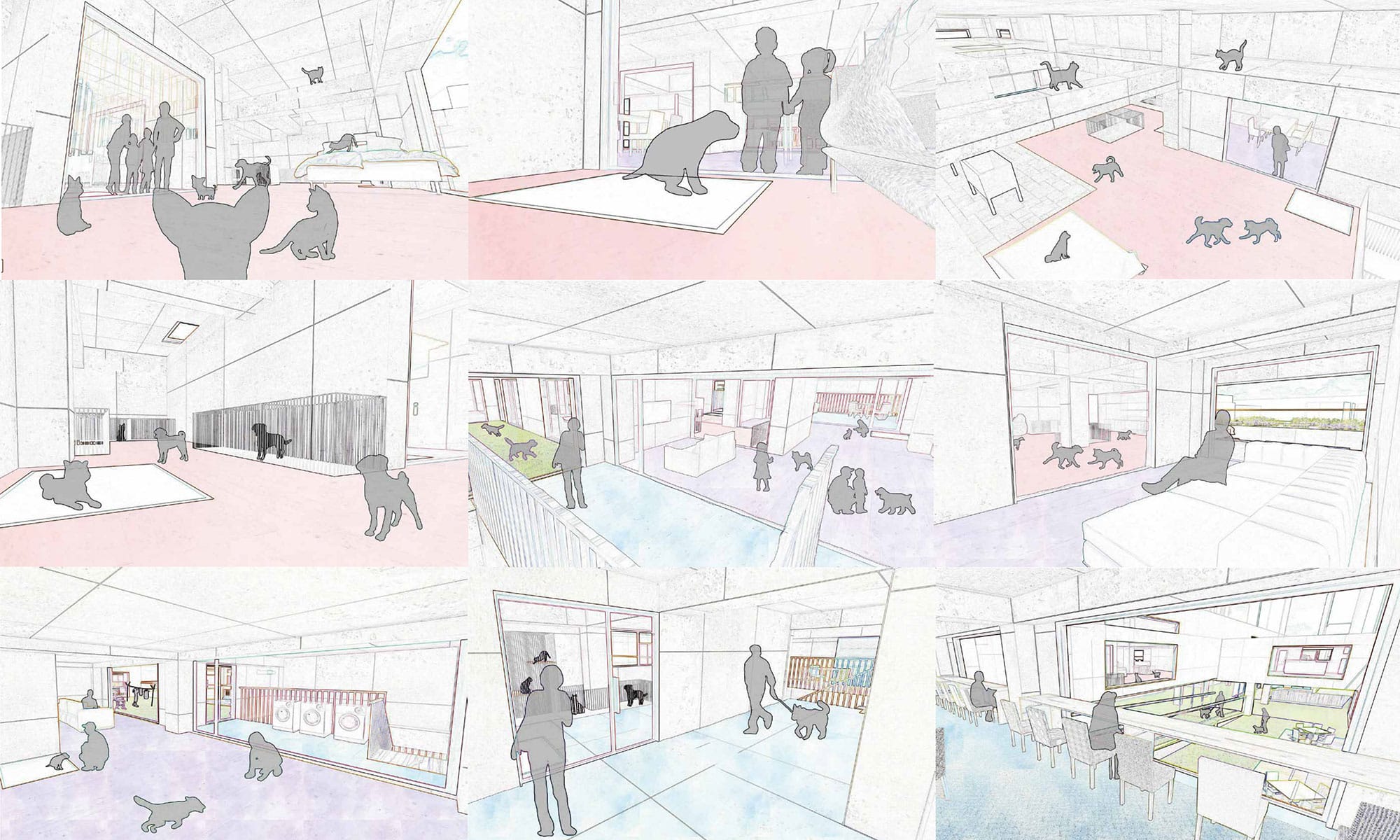 皆慕の楽園 -犬猫目線での幸せを再考する一時保護シェルター-