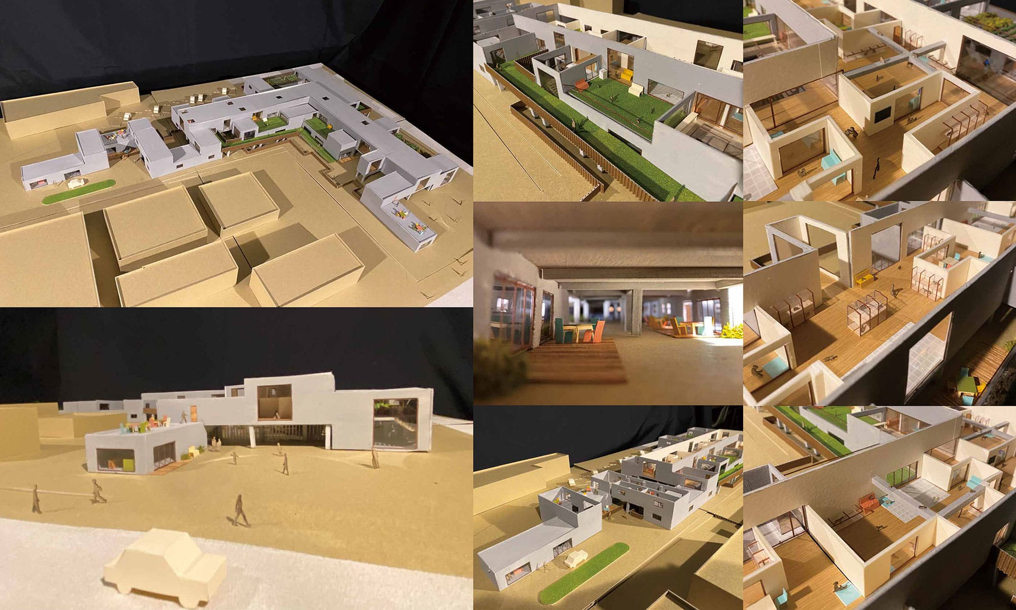 皆慕の楽園 -犬猫目線での幸せを再考する一時保護シェルター-