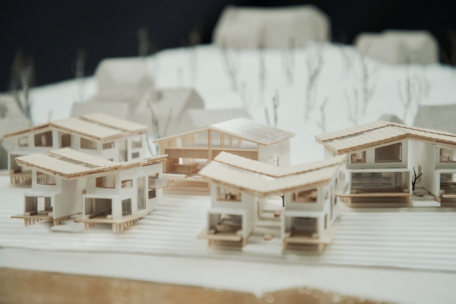 ROOF M －島根県隠岐郡知夫村におけるデュアルライフのための環境型複合施設の提案－