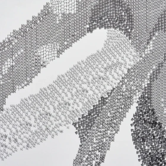 文学作品をテーマとした文字によるグラフィック表現