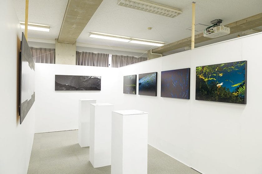 鳥の眼、魚の眼。