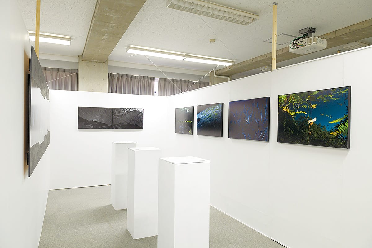 鳥の眼、魚の眼。