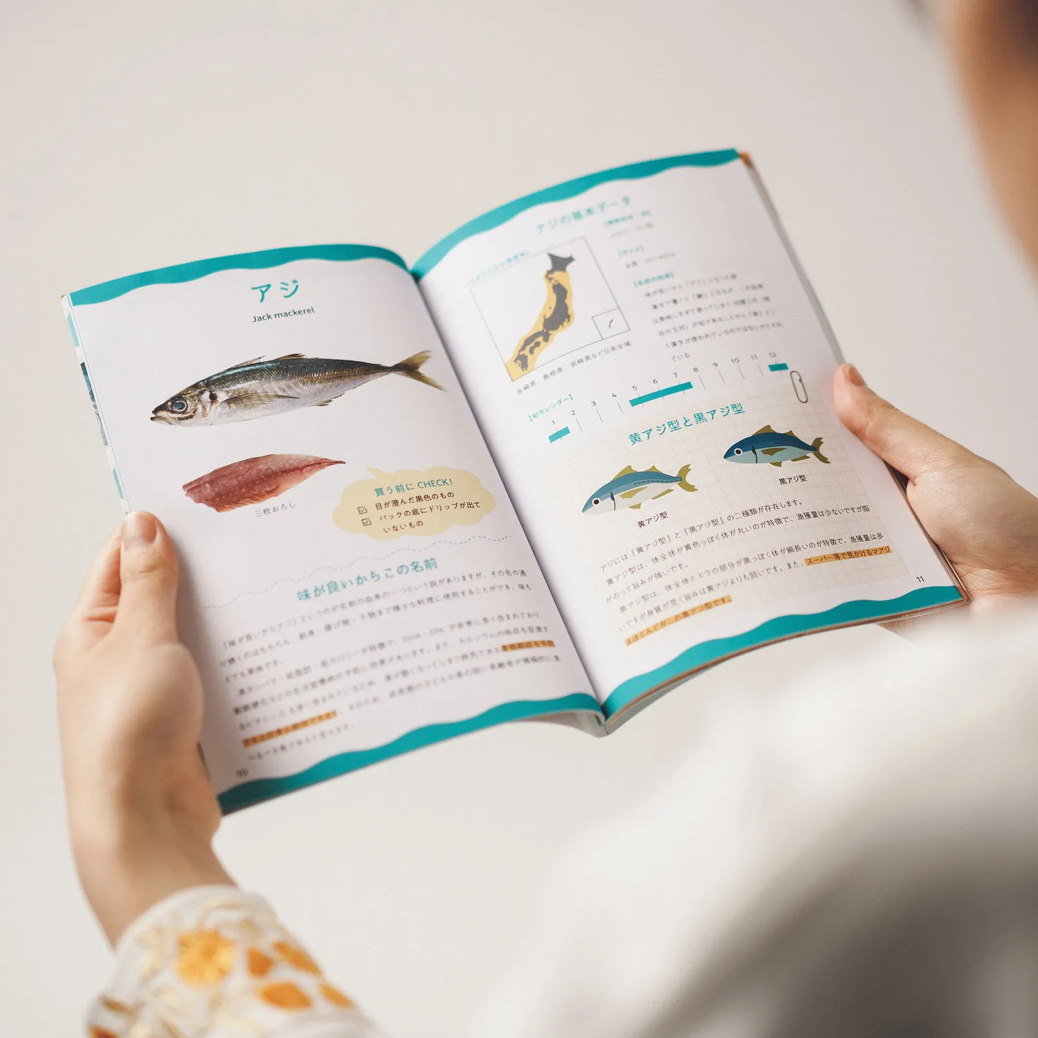 魚の魅力を伝える本の制作