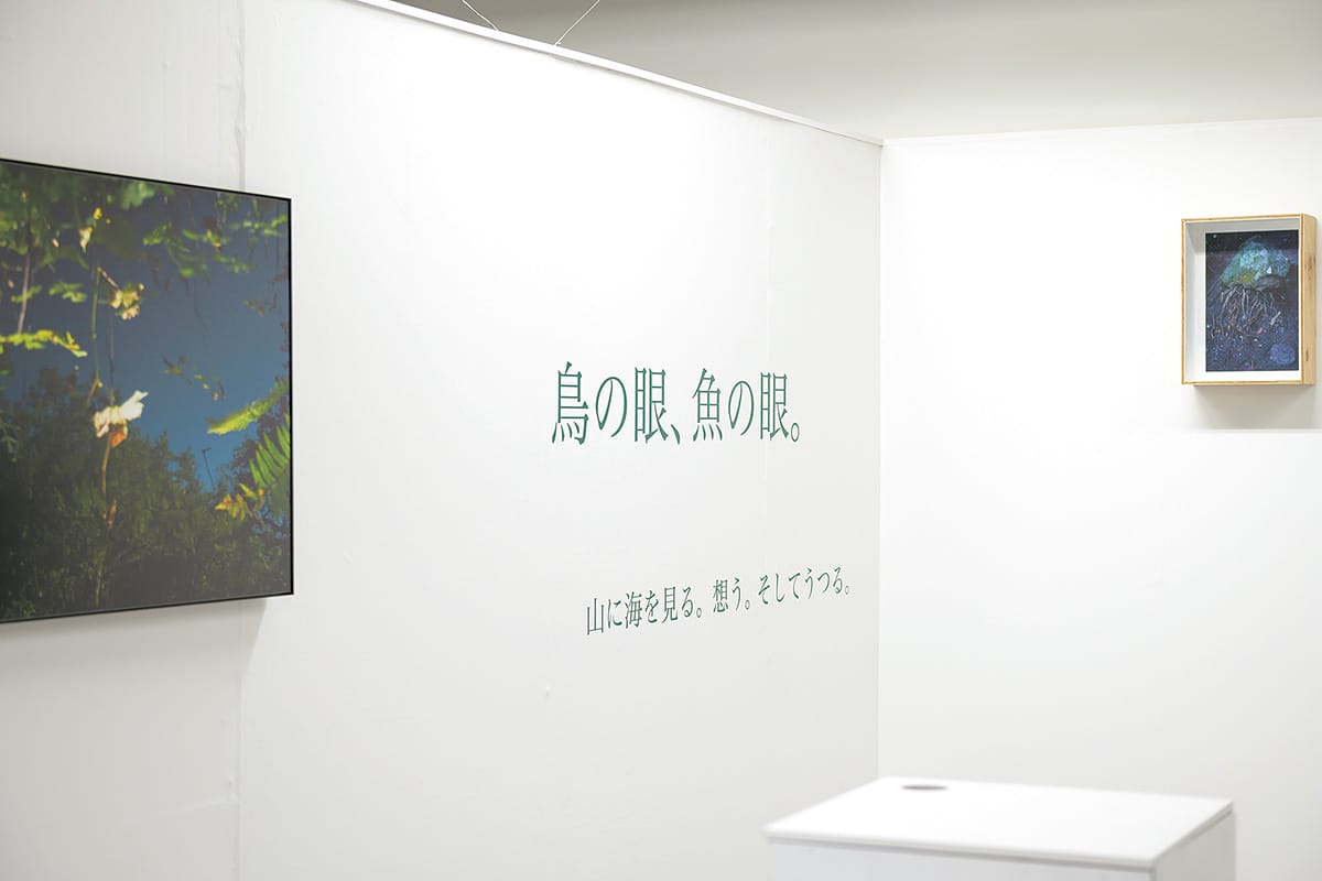 鳥の眼、魚の眼。