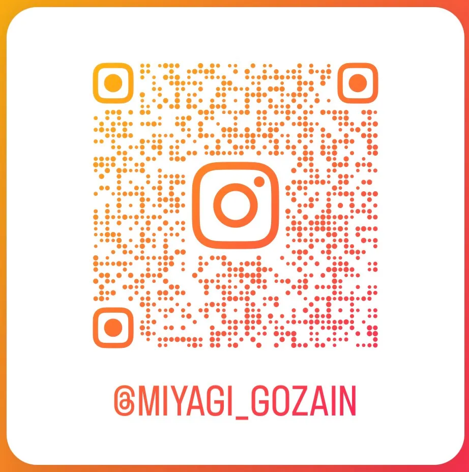 SNS情報サービスの企画・運営 MIYAGI GOZAIN