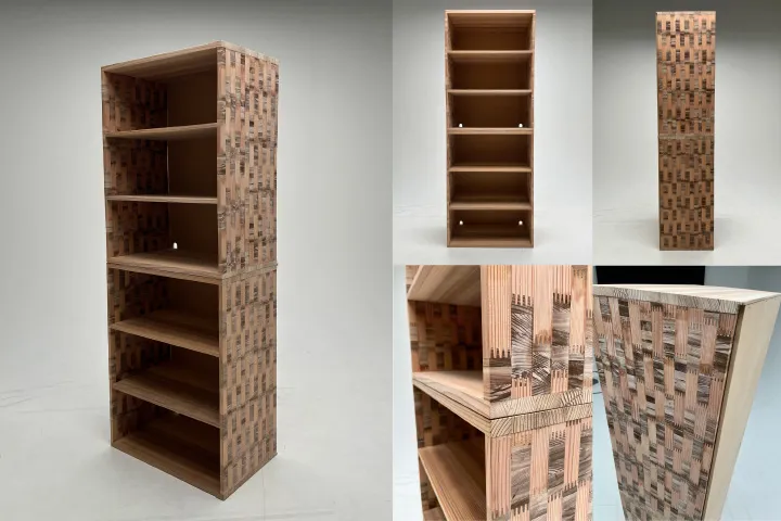 弾性スギ圧縮木材を用いた集成材の特性分析および転倒リスク軽減家具への応用