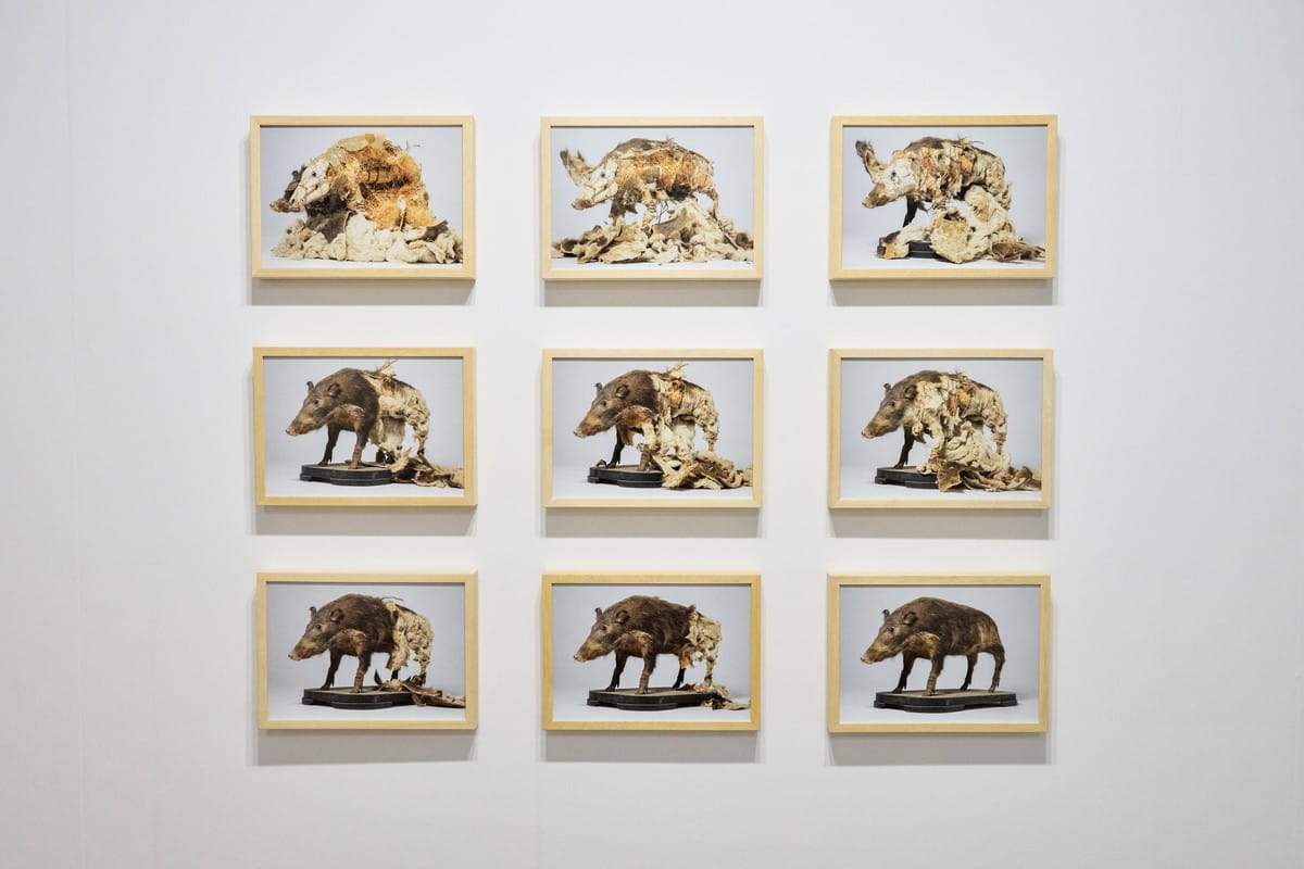 自然と不自然のキメラ