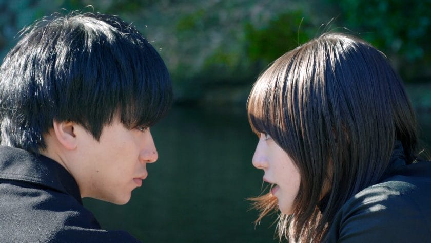 囲いの外から君を見つめて