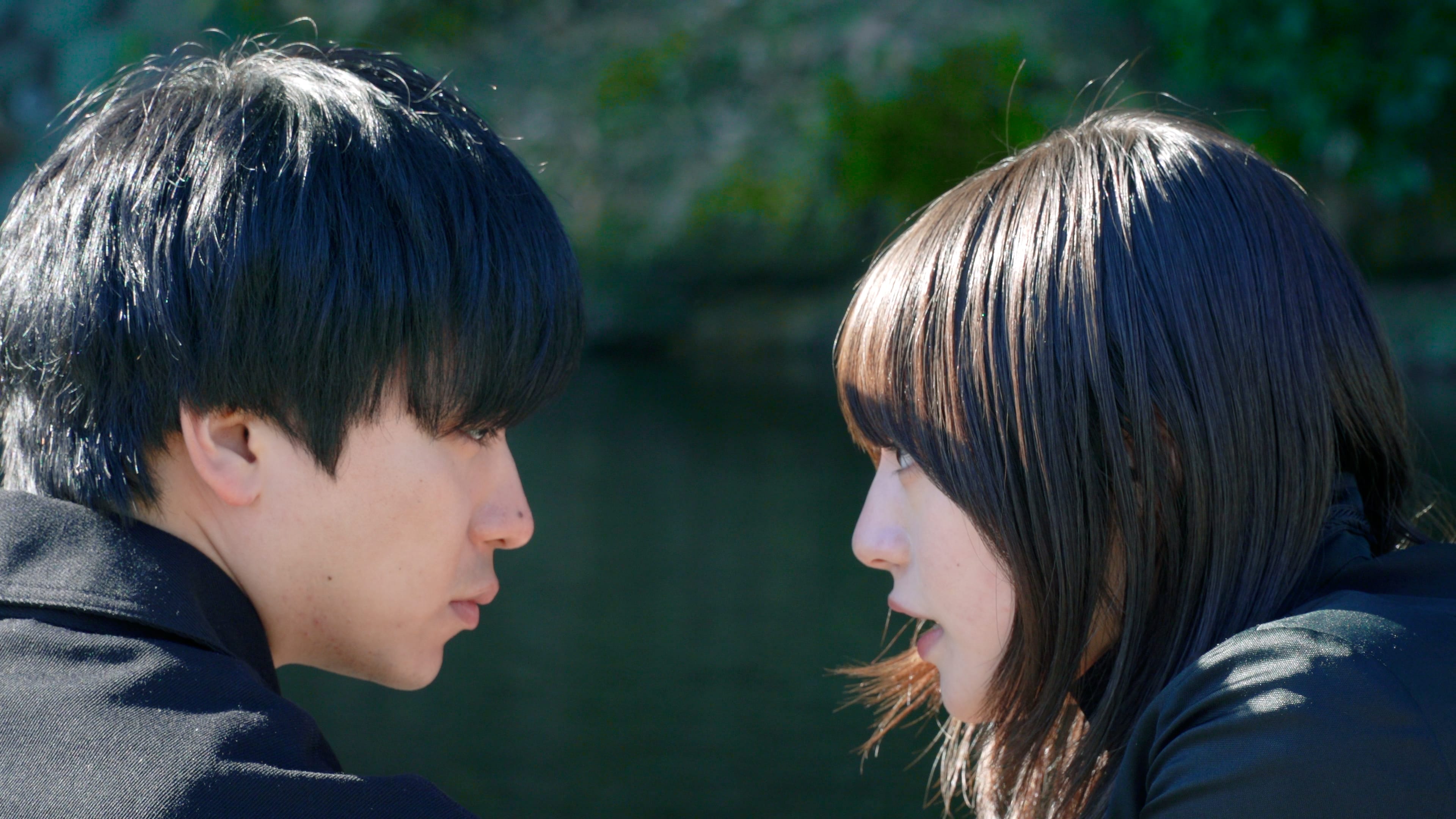 囲いの外から君を見つめて