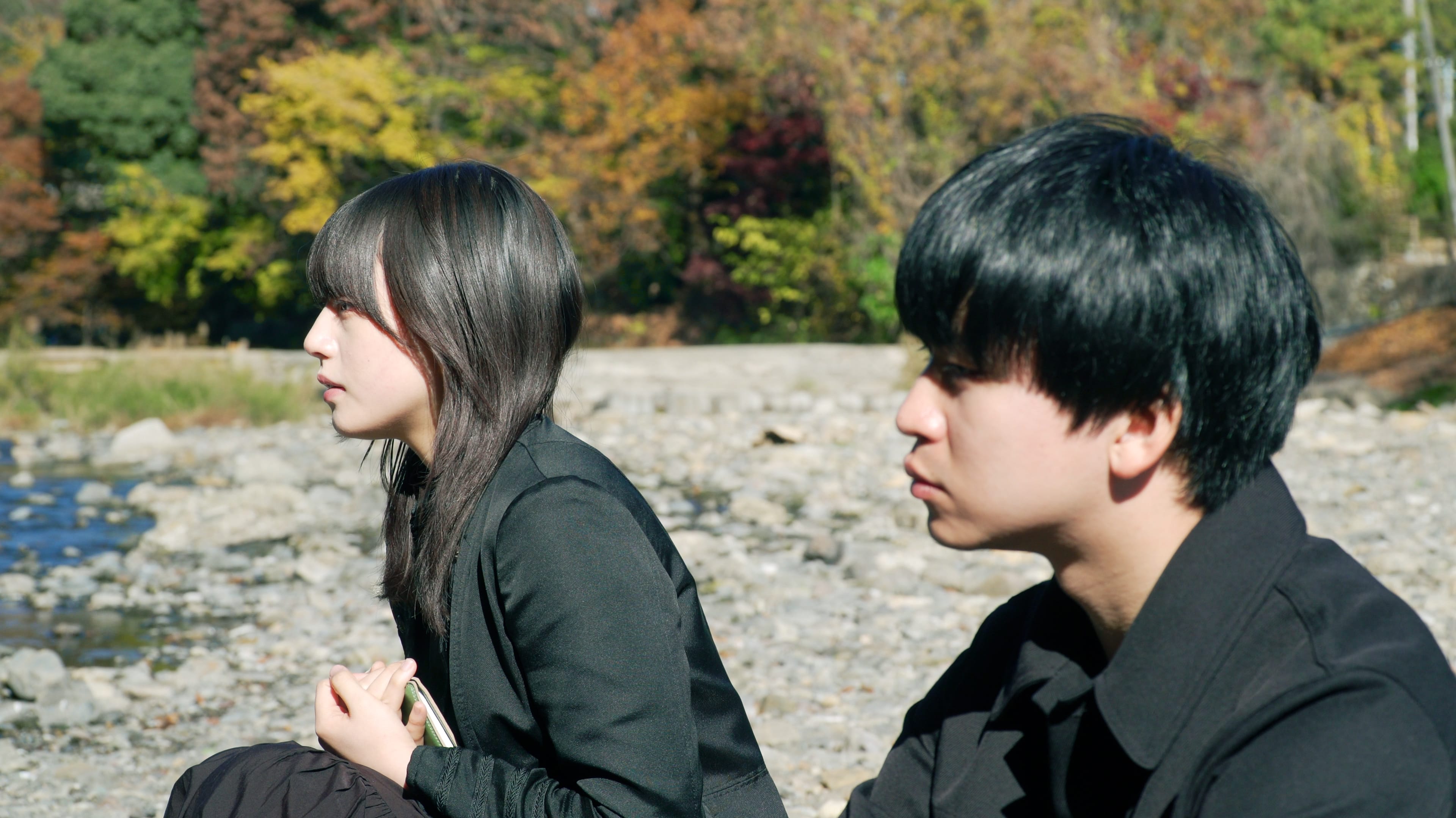 囲いの外から君を見つめて