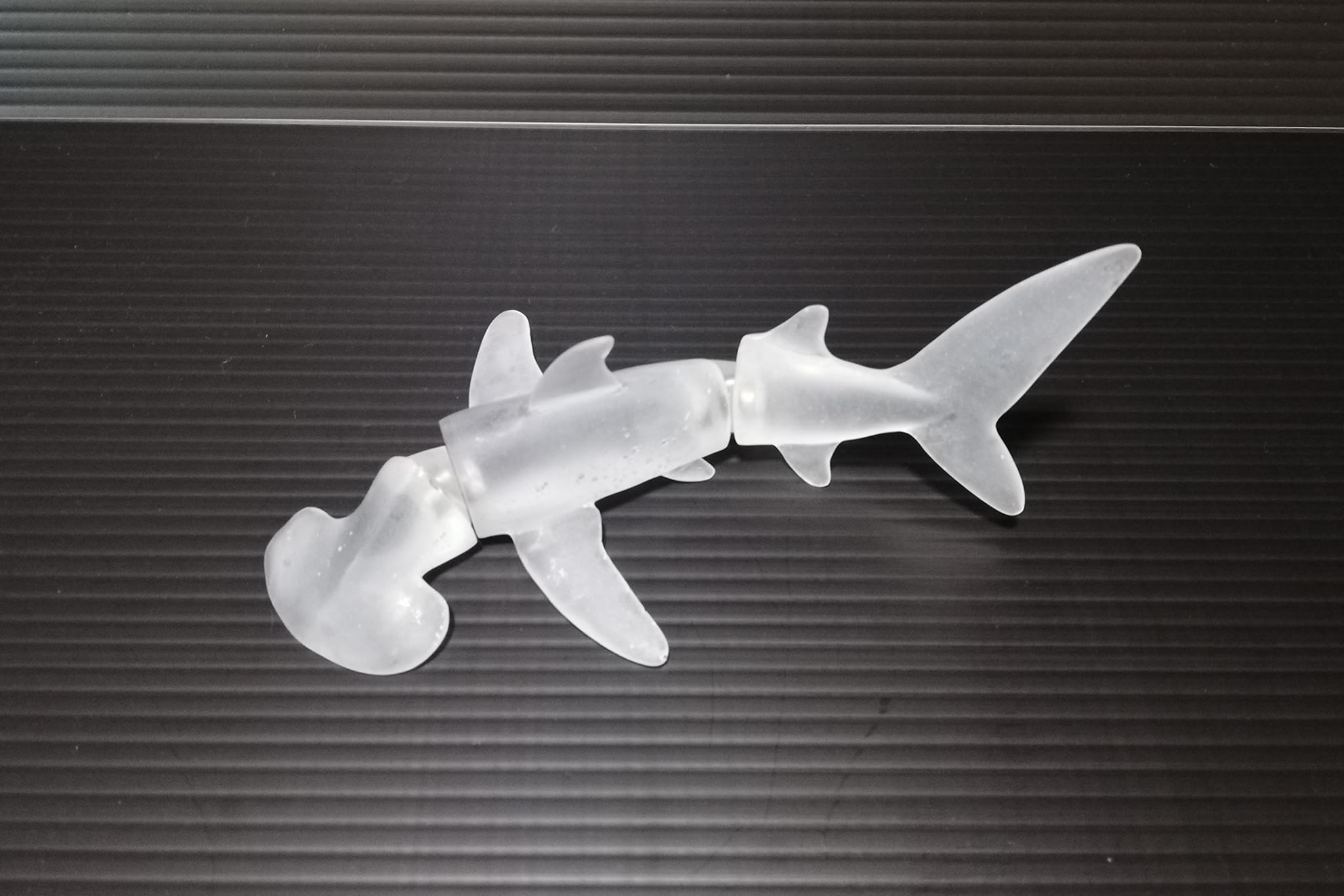 身体的特徴の組み換えによりサメの魅力を伝えるツール