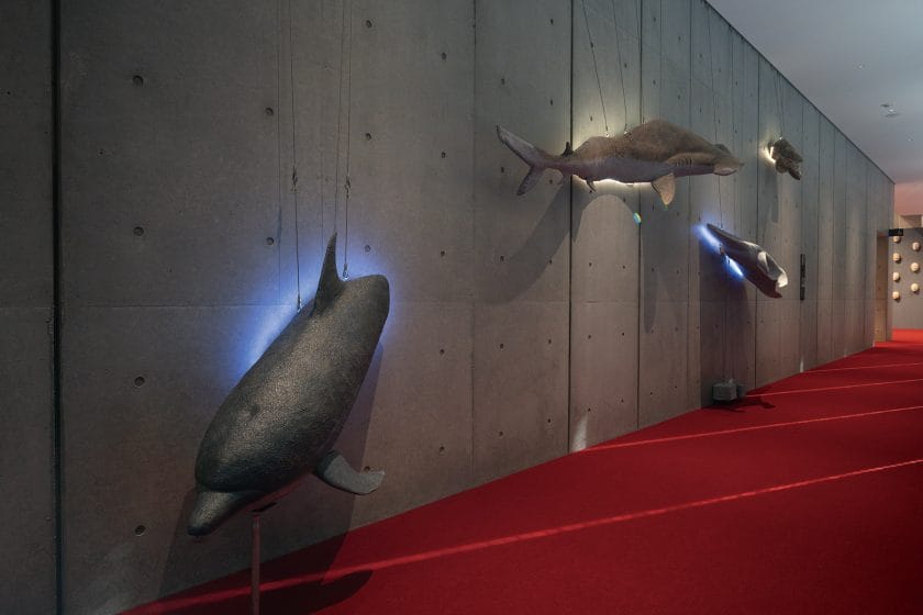 2/2 ～浅く積もるは深い味～