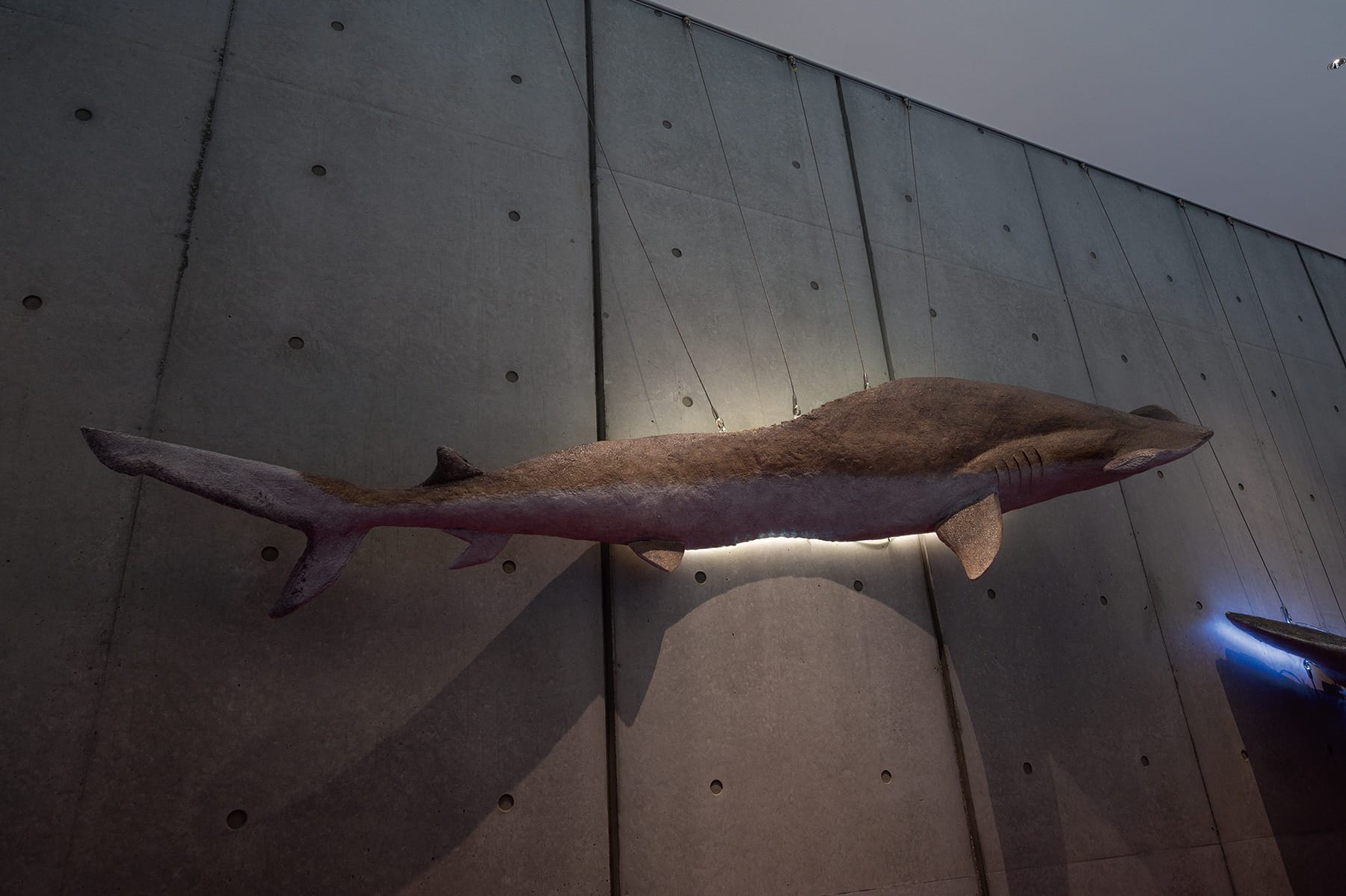 2/2 ～浅く積もるは深い味～