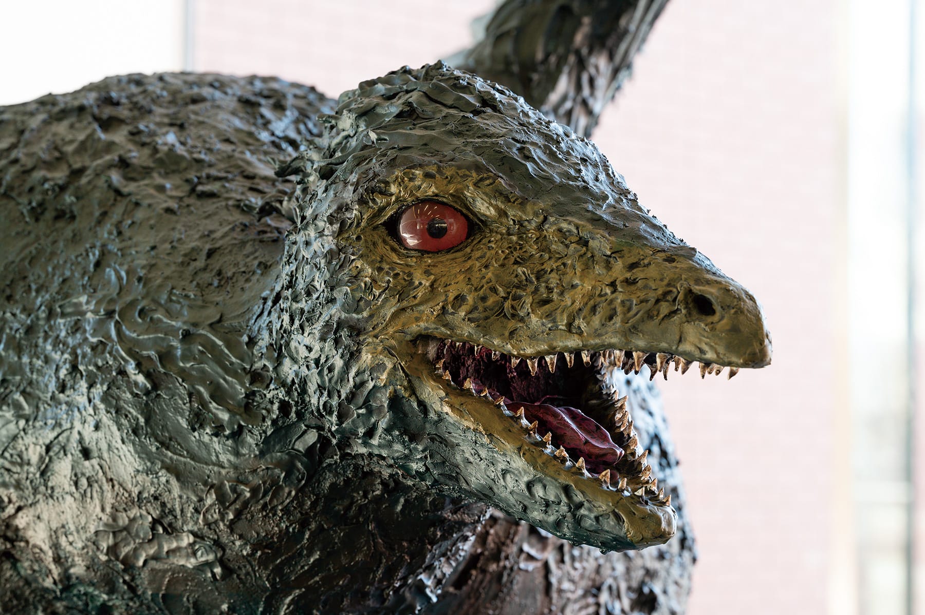 始祖鳥 ‐紆余曲折‐