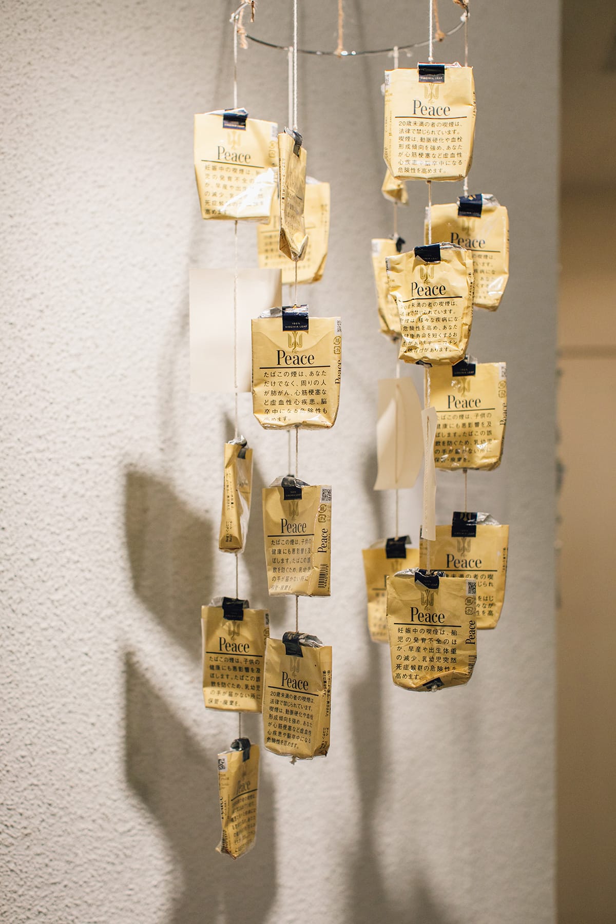 非喫煙者が煙草を集めて展示をしてみた