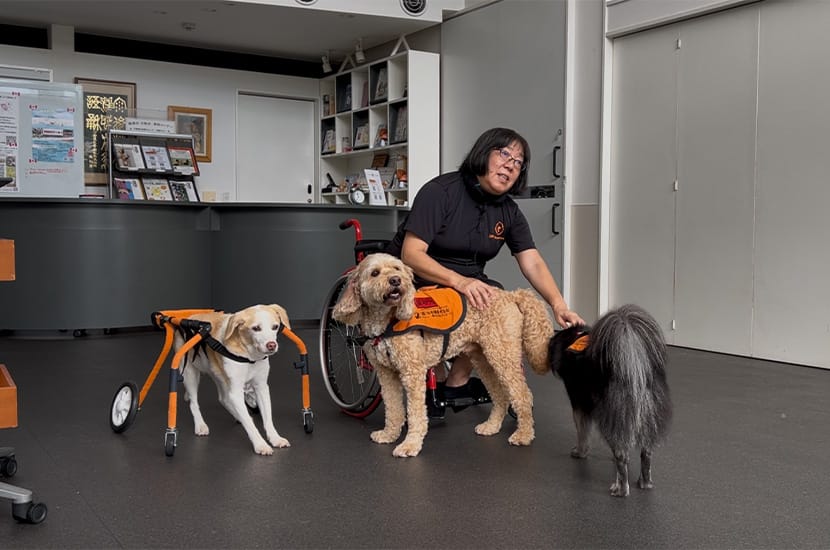 もうひとつのスタートライン ～キャリアチェンジ犬のその後～