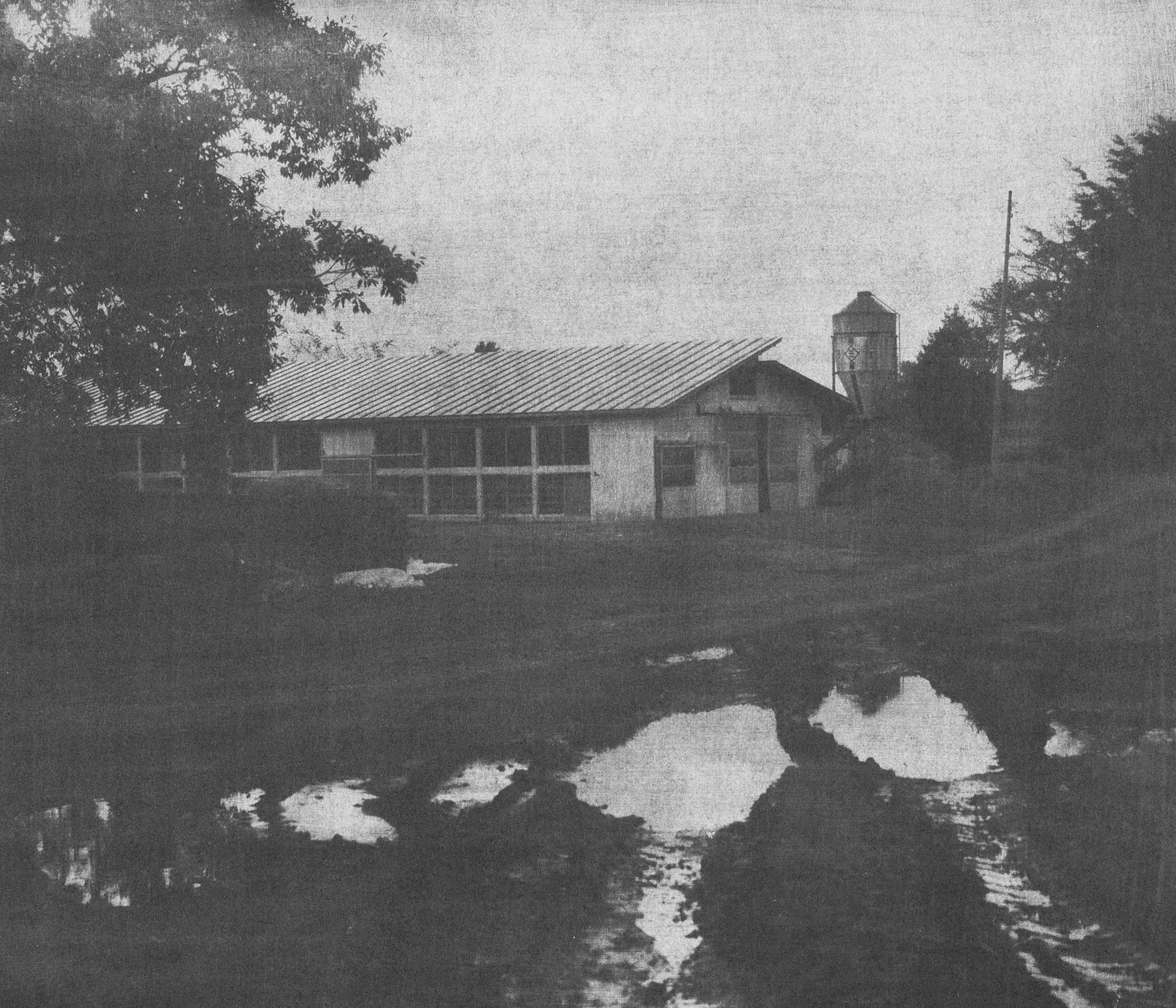 木の家、白煙の町