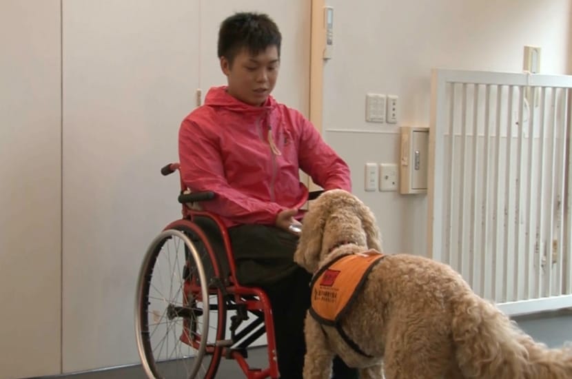 もうひとつのスタートライン ～キャリアチェンジ犬のその後～